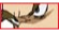 carousel_thumb